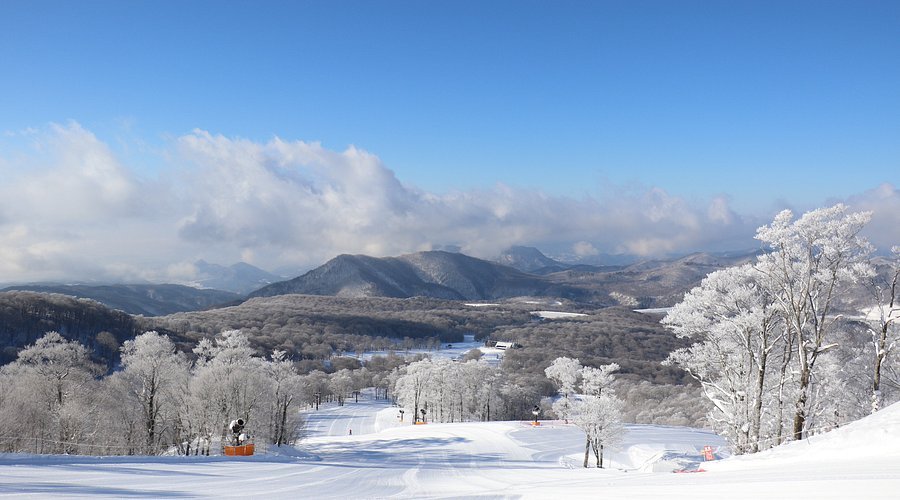 🏂 탐바라 스키 파크(たんばらスキーパーク)